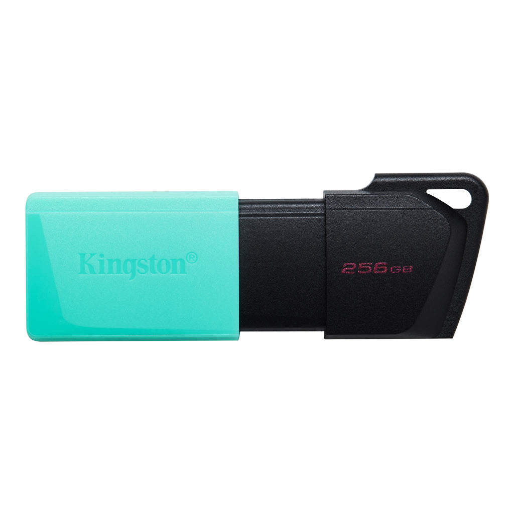 Kingston Llave Maya 256GB, DTXM/256G