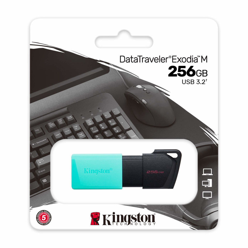 Kingston Llave Maya 256GB, DTXM/256G