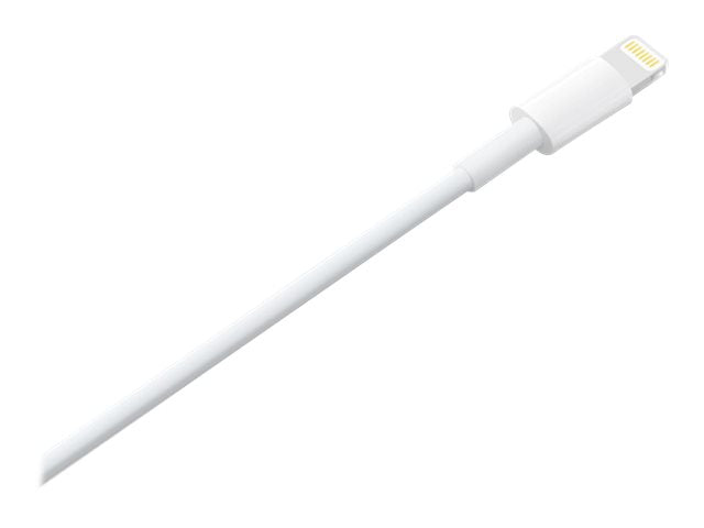Apple Cable Lightning macho a USB-A 1M