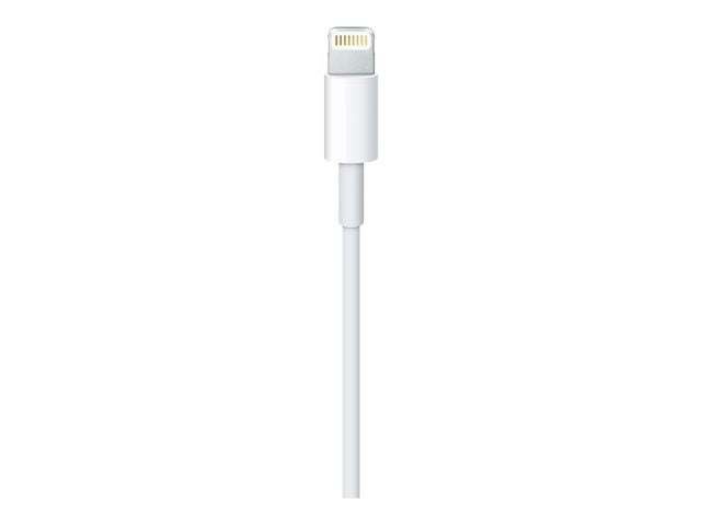 Apple Cable Lightning macho a USB-A 2M