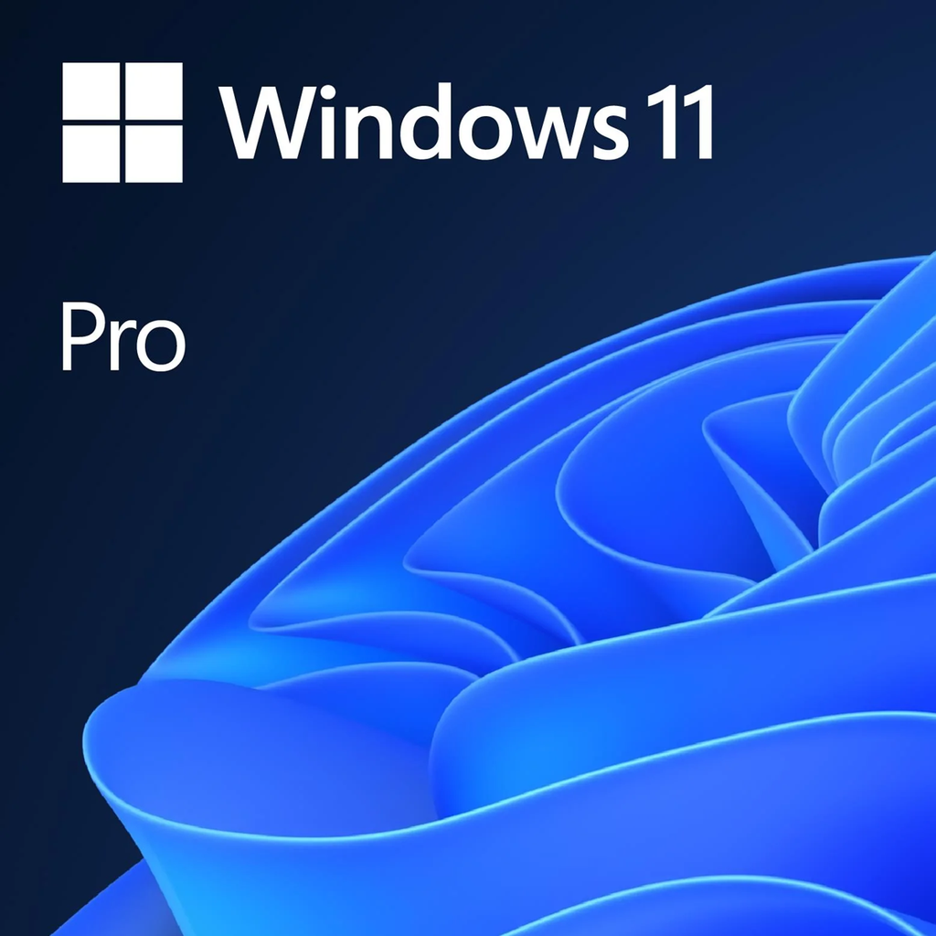 Windows 11 Pro, 64 Bit