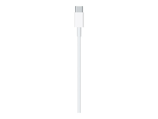Apple Cable USB-C a Lightning