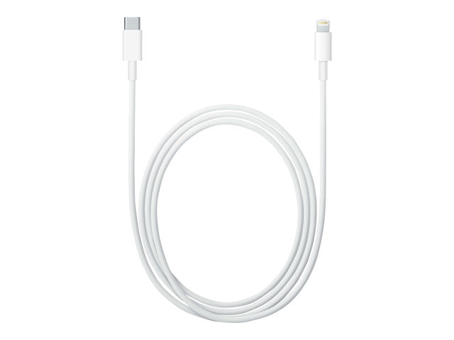 Apple Cable Lightning macho a USB-C 24 pin