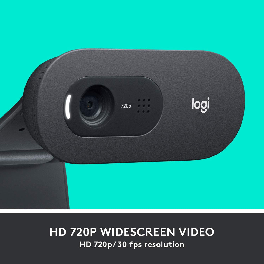 Logitech Camara Web c505 HD